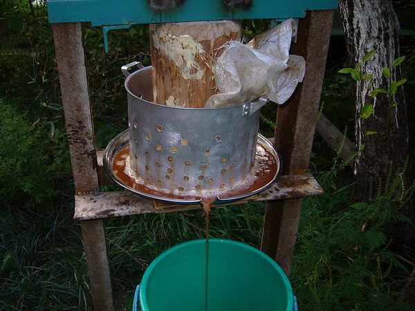 DIY juicer: mga kinakailangang bahagi at tagubilin sa pagpupulong