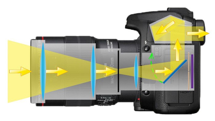 Paano pumili ng isang kamera ng SLR (DSLR)?