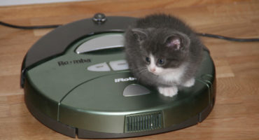 Mga alagang hayop at robot vacuum cleaner